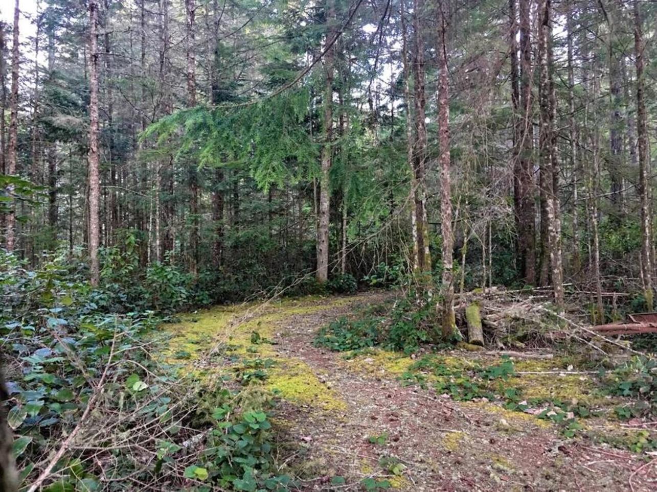 The Great Escape - Shirley & Bunkhouse Villa Sooke Eksteriør bilde